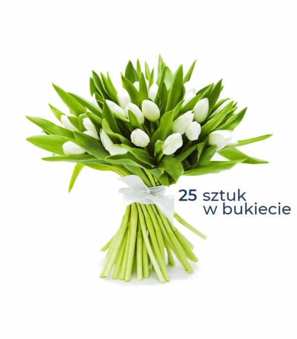 25 białych tulipanów z dostawą. Kwiaciarnia