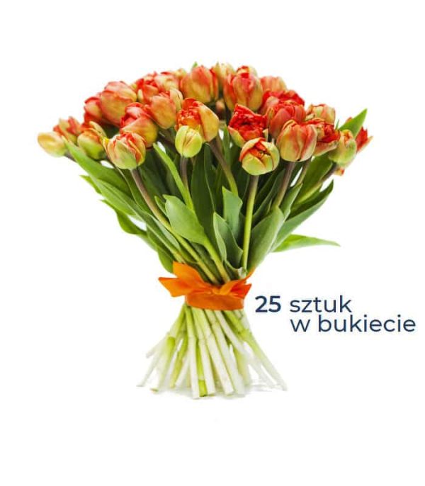 25 pomarańczowych tulipanów. Bukiet kwiatów. Kwiaciarnia