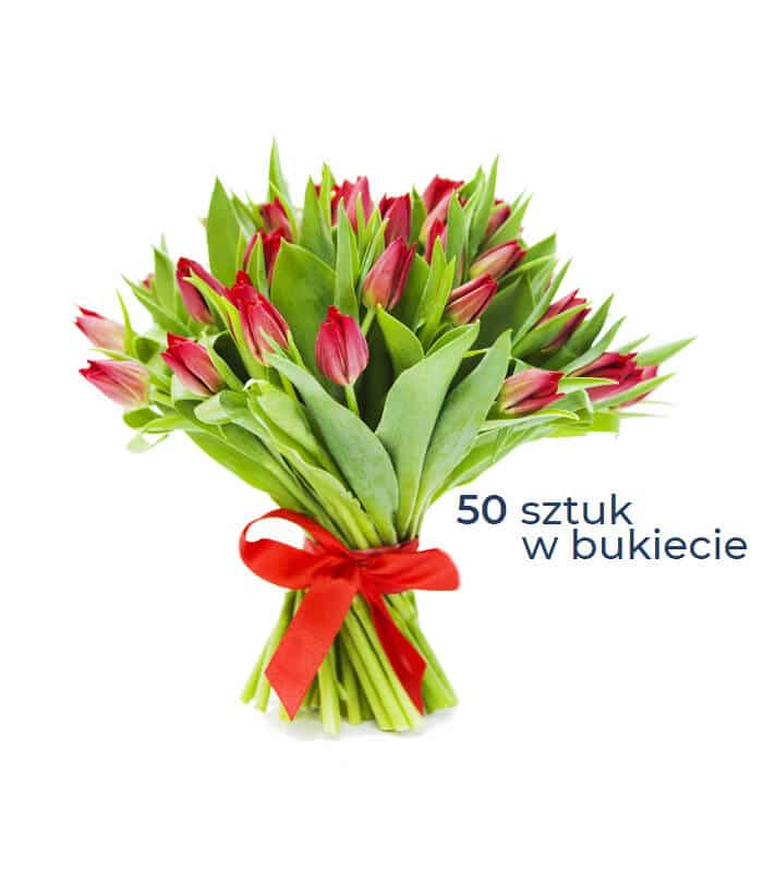 50 czerwonych tulipanów. Bukiet kwiatów. Kwiaciarnia