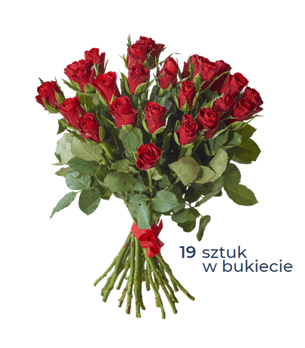 Bukiet 19 czerwonych róż z dostawą