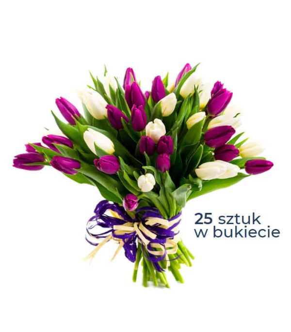Bukiet fioletowo białych tulipanów z dostawą