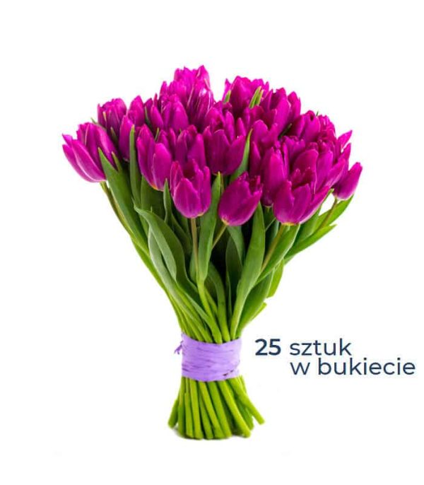 Bukiet 25 fioletowych tulipanów