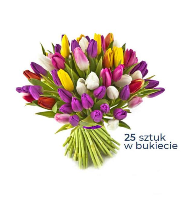 Świeże kwiaty. Bukiet tulipanów kolorowych