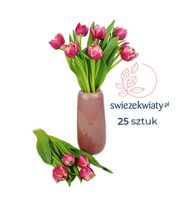 Tulipany pudrowe, wielokwiatowe - swiezekwiaty.pl