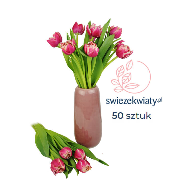 tulipany pudrowe, wielokwiatowe, swiezekwiaty.pl