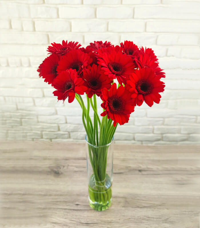 Czerwone gerbery - bukiet świeże kwiaty