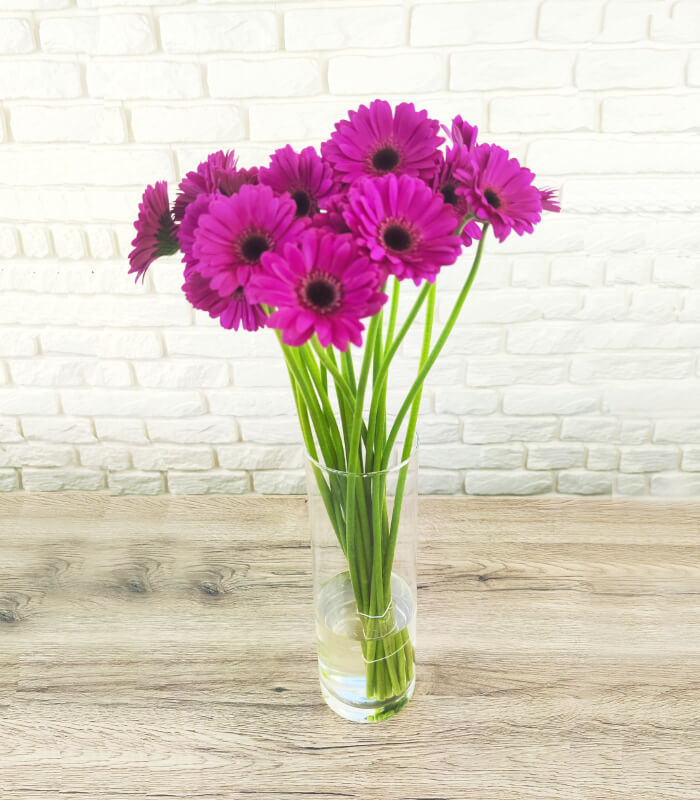 Bukiet fioletowych gerber - świeże kwiaty