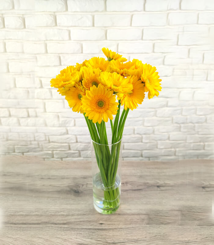 Żółte gerbery świeże kwiaty