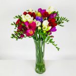 Kolorowe frezje z wazonem - Kwiaciarnia świeże kwiaty