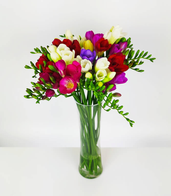 Kolorowe frezje z wazonem - Kwiaciarnia świeże kwiaty