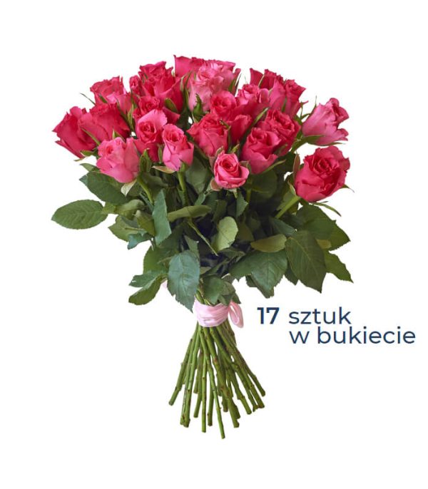 Bukiet 17 różowych róż z dostawą