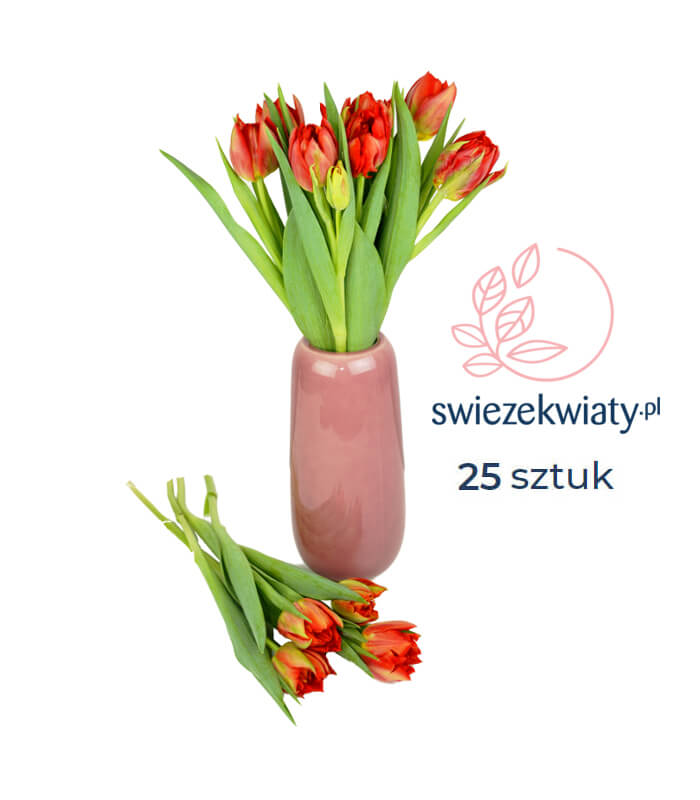 Tulipany wielokwiatowe pomarańczowo czerwone swiezekwiaty.pl