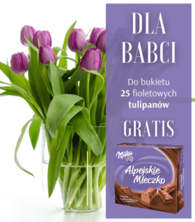 Bukiet fioletowych tulipanów